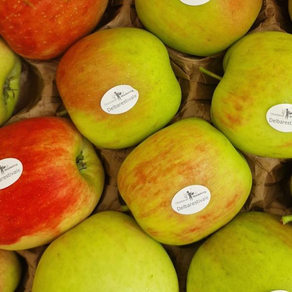 Apfel Sorte: Delbarestivale